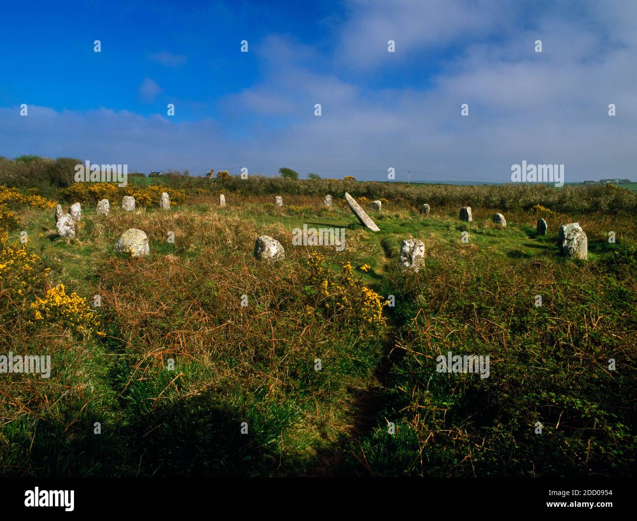 View SE of Boscawen-Un stone circle, West Penwith, Cornwall, England, UK: an oval of 19 regularly spaced stones with an (entrance?) gap on W. Stock Photo