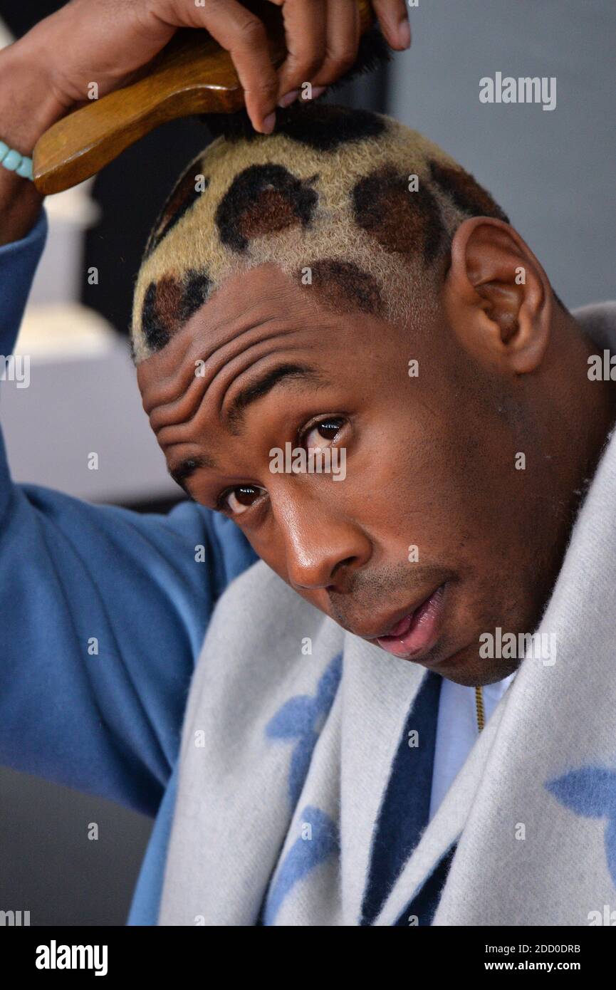 Tyler, the Creator attends the 60th Annual GRAMMY Awards at Madison Square  Garden on January 28, 2018 in New York City, NY, USA. Photo by Lionel  Hahn/ABACAPRESS.COM Stock Photo - Alamy