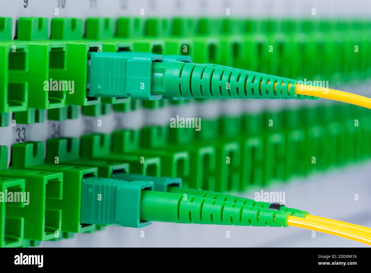 Fiber Optic Cables in the Optical Distribution Panel Stock Photo Alamy