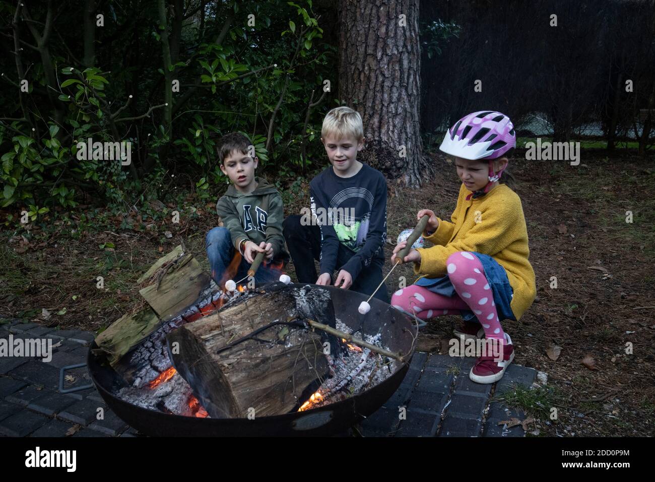Children outdoors roasting marshmallows over the wood fire, England, United Kingdom Stock Photo