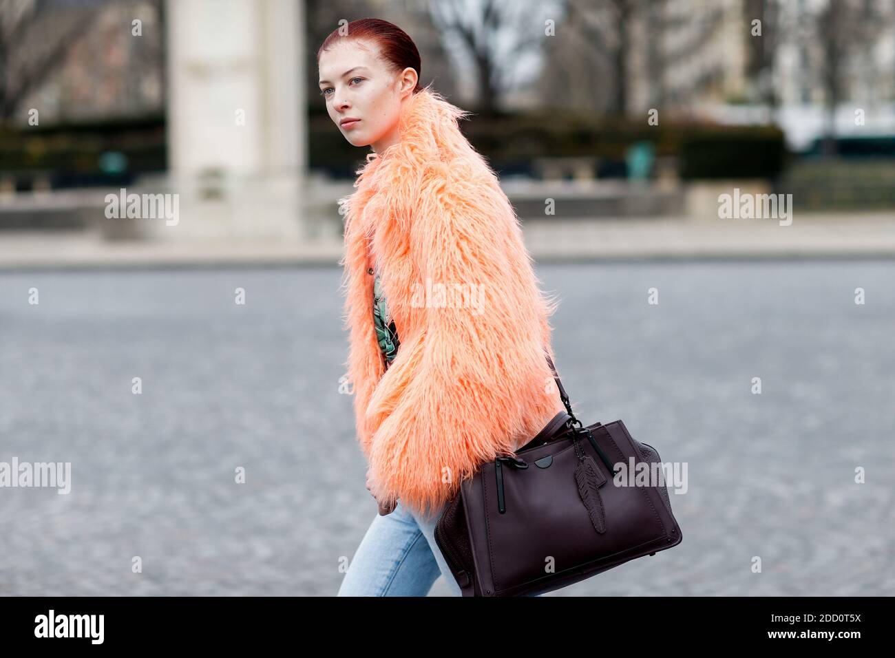 Manteau de fourrure hi-res stock photography and images - Page 2 - Alamy