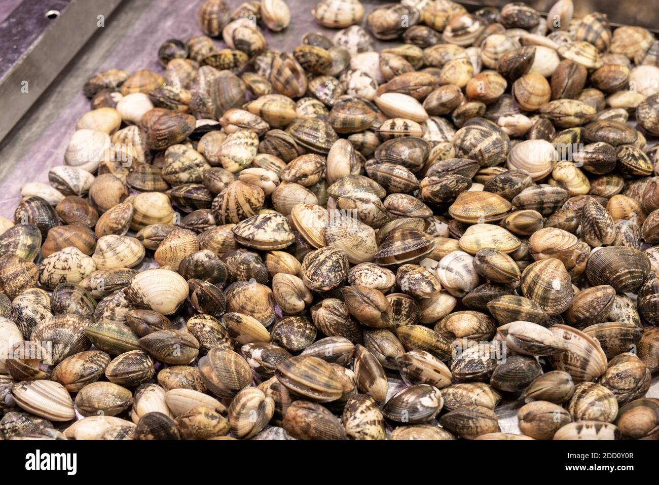 Seafood shells shellfish at the fish market Stock Photo