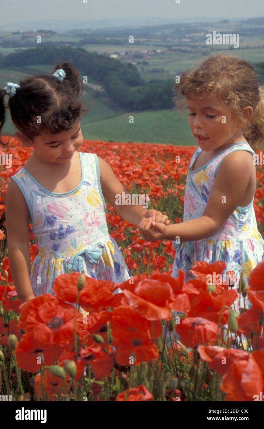 two little girls exploring poppy flowers in field, Brading, Isle of Wight, England Stock Photo
