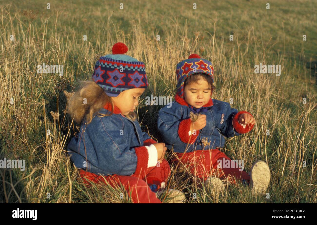 two little sisters exploring plants in a field, winter Stock Photo
