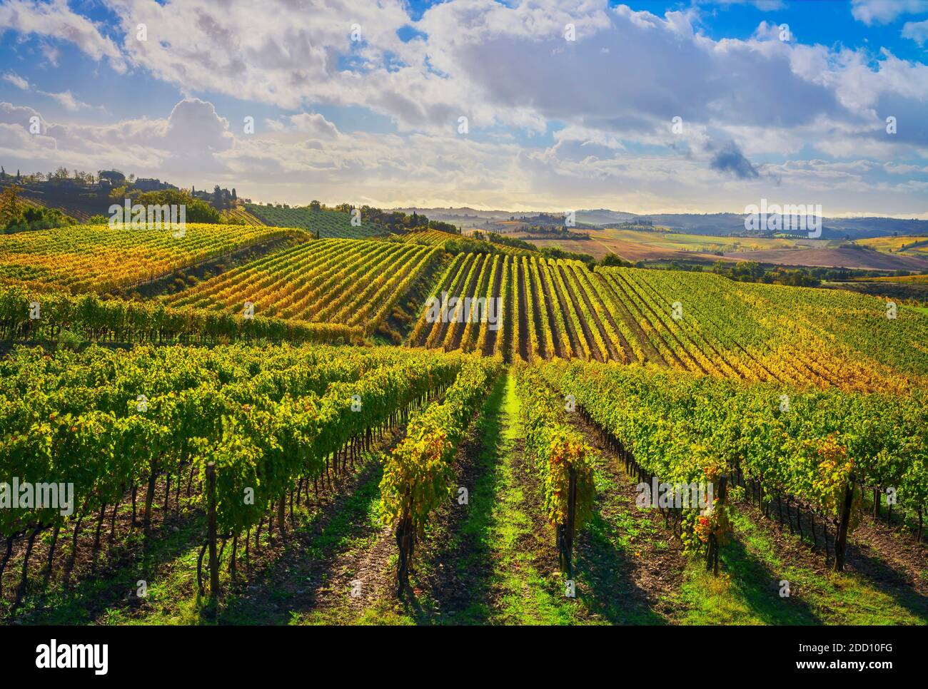 Vineyards panorama in Castellina in Chianti in autumn, Tuscany, Italy, Europe. Stock Photo