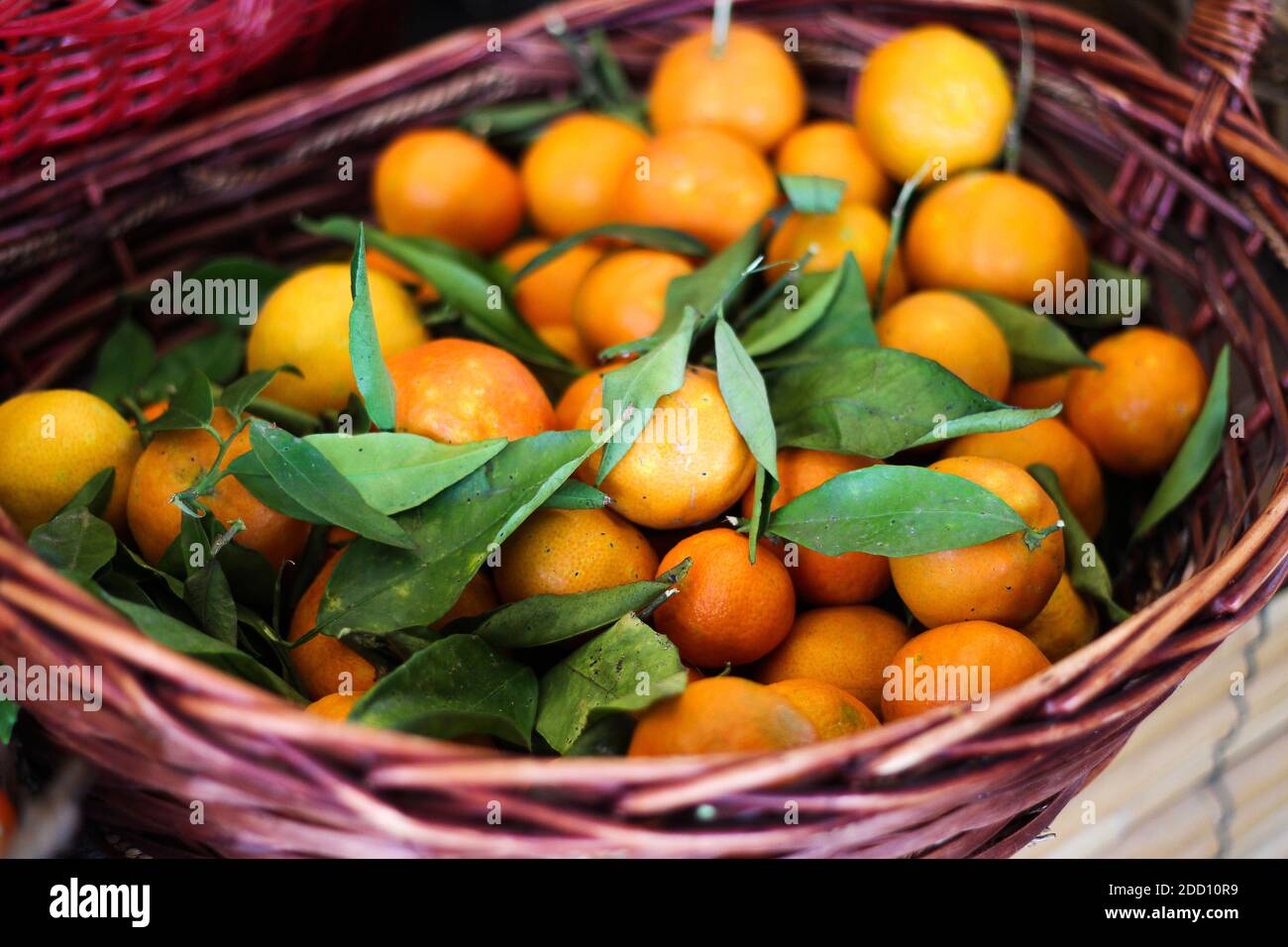 Tangerines/Oranges in basket Stock Photo