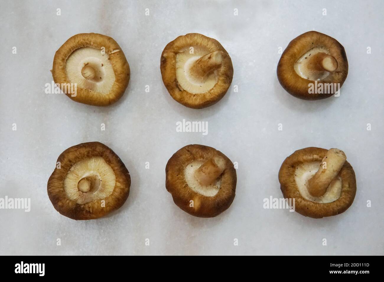 Six shiitake mushrooms arranged neatly on a marble surface, with the
