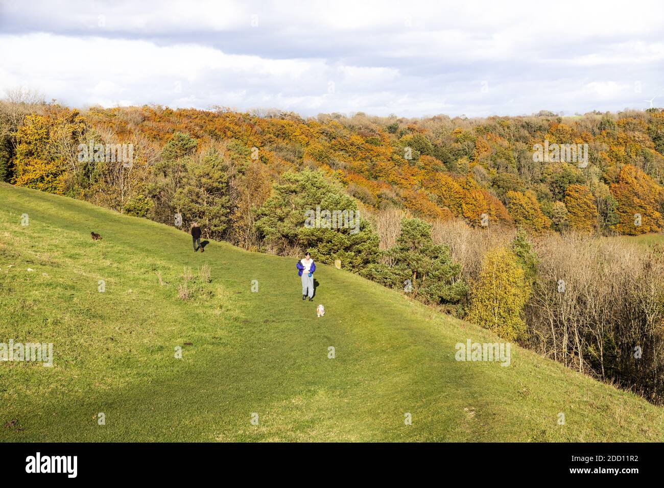 Dog walkers enjoying the autumn colours from the Iron Age ramparts of