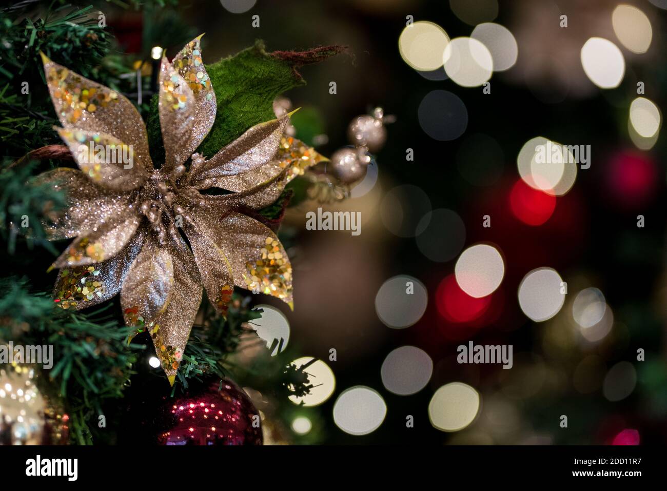 Beautiful Decorative Flower With Christmas Lights Background Stock Photo