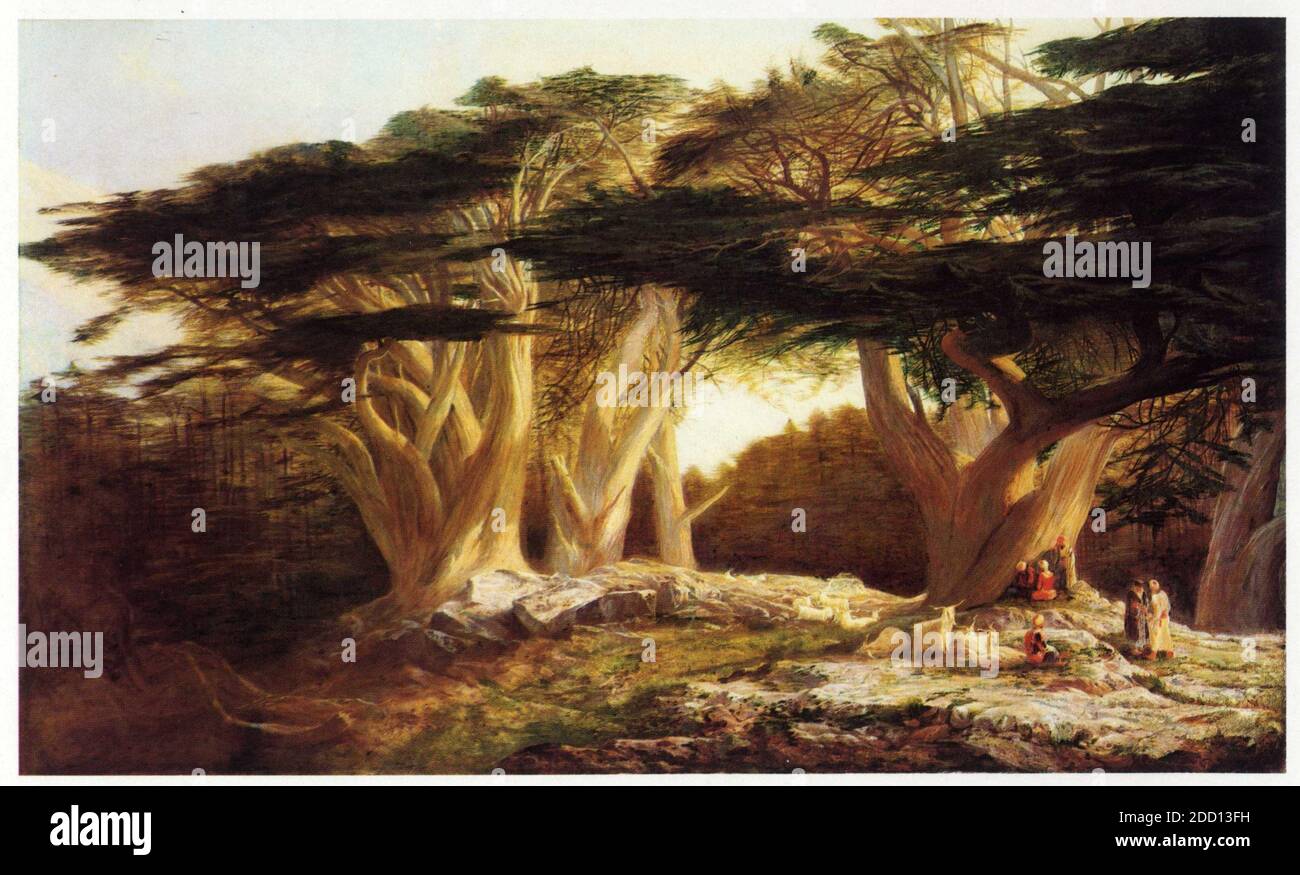 Edward Lear.1812-1888.The Cedars of Lebanon.1861. Stock Photo