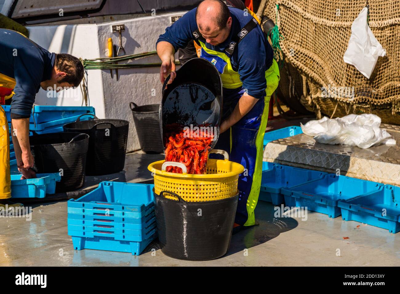 Fisherman with fresh prawns in Palamós, Spain Stock Photo