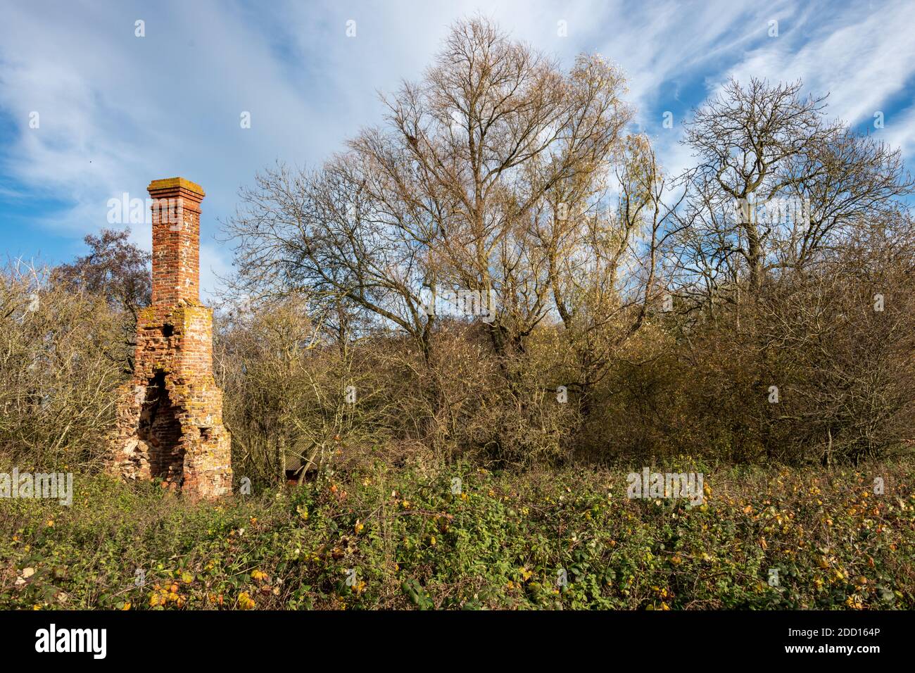 Old Chimney, Abandoned Brickworks, Overgrown Stock Photo