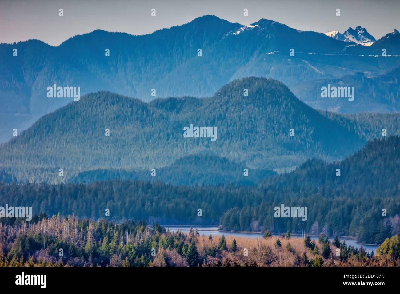Coastline Mountains Landscape In Tofino Vancouver Island Canada Stock Photo Alamy