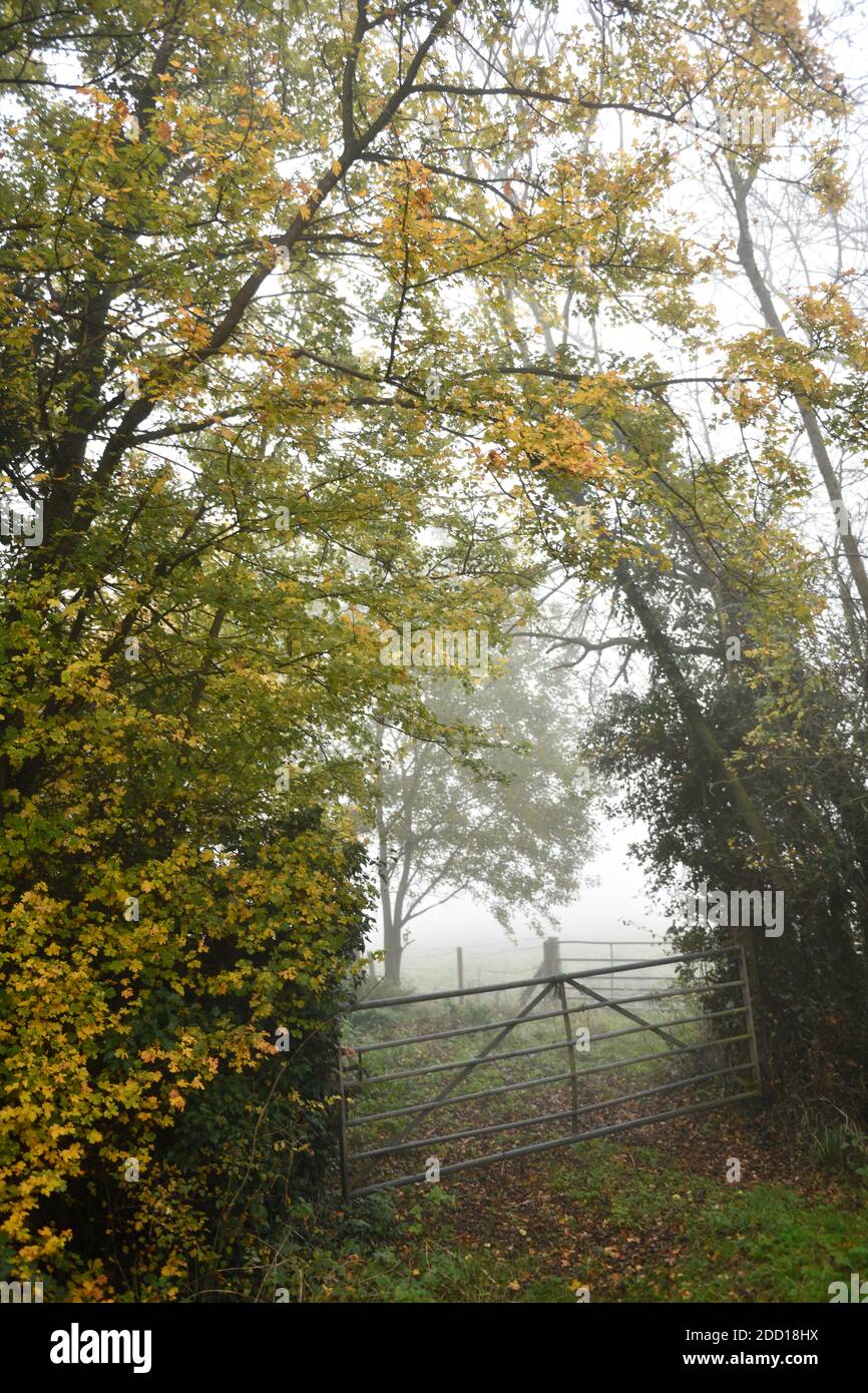 Fog hi res hi-res stock photography and images - Alamy
