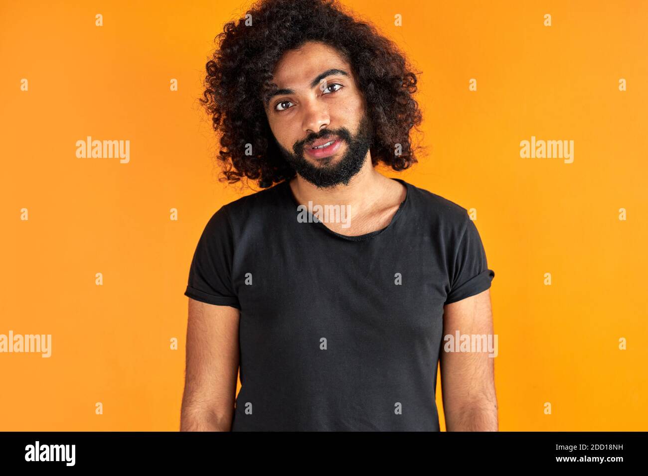 portrait of pleased arab man isolated in studio, handsome guy in casual wear posing at camera, has black long curly hair, calm male of indian or arabian appearance Stock Photo
