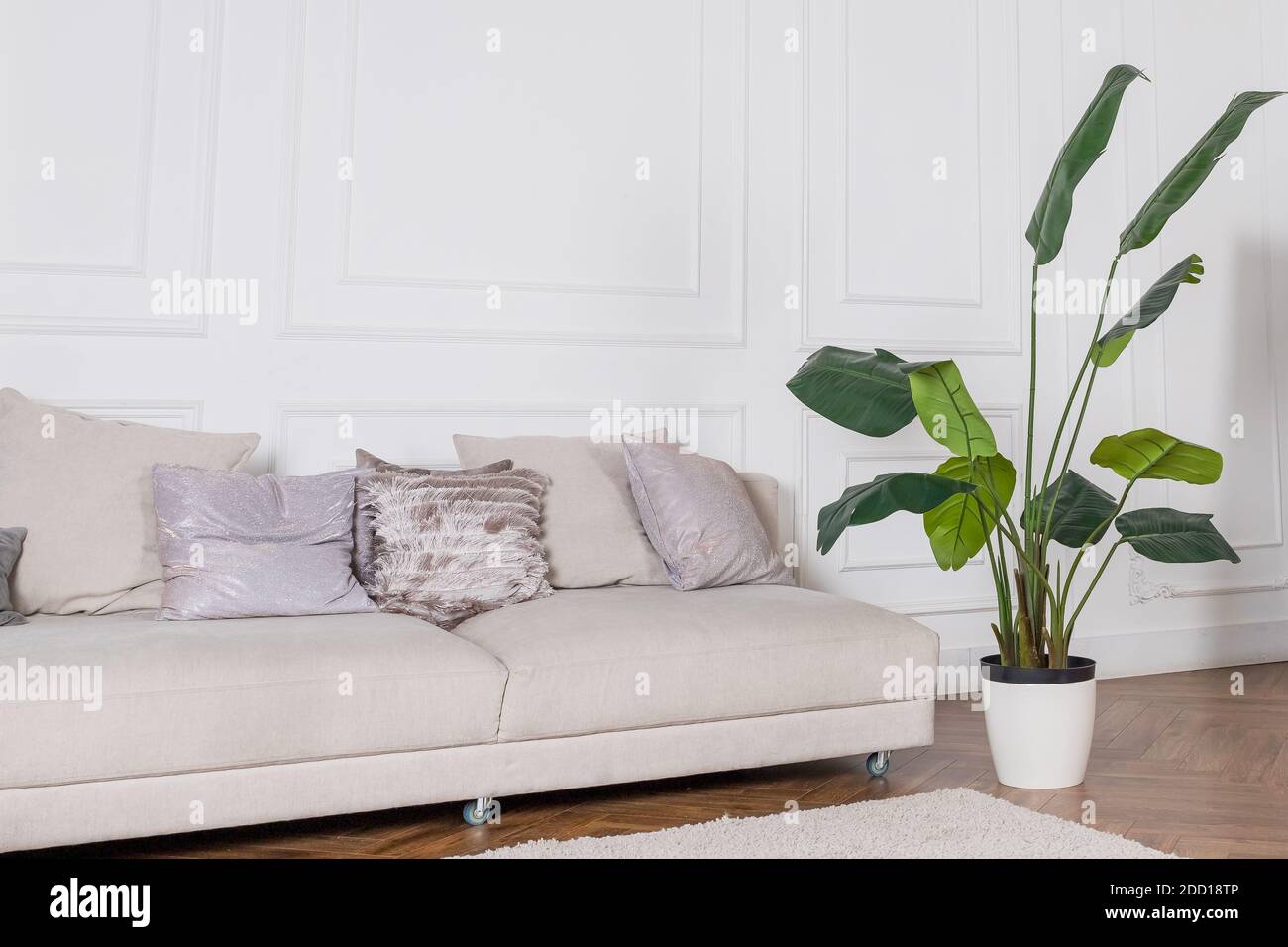 Modern luxury stylish apartment interior in pastel colors. a very bright room ,white walls, wooden parquet floors.beige textile couch. house plant in Stock Photo