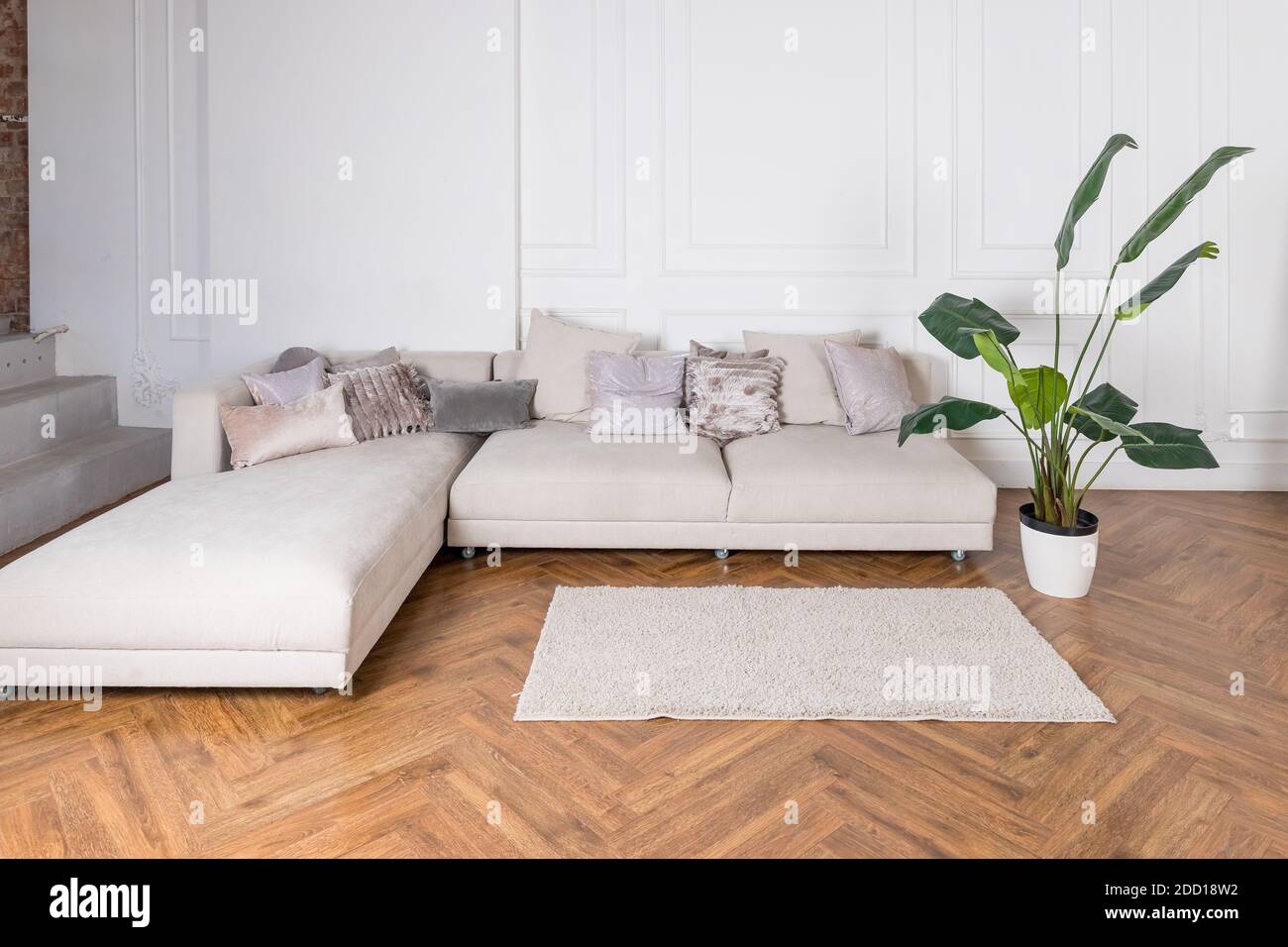 Modern luxury stylish apartment interior in pastel colors. a very bright room ,white walls, wooden parquet floors.beige textile couch. house plant in Stock Photo