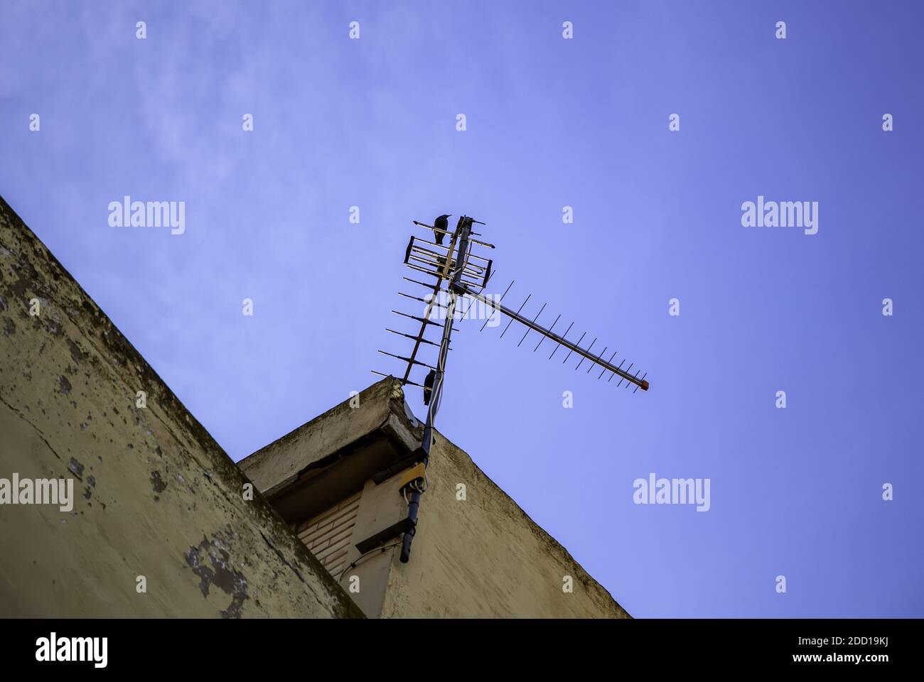 Rooftop television antenna, construction and architecture, telecommunications Stock Photo