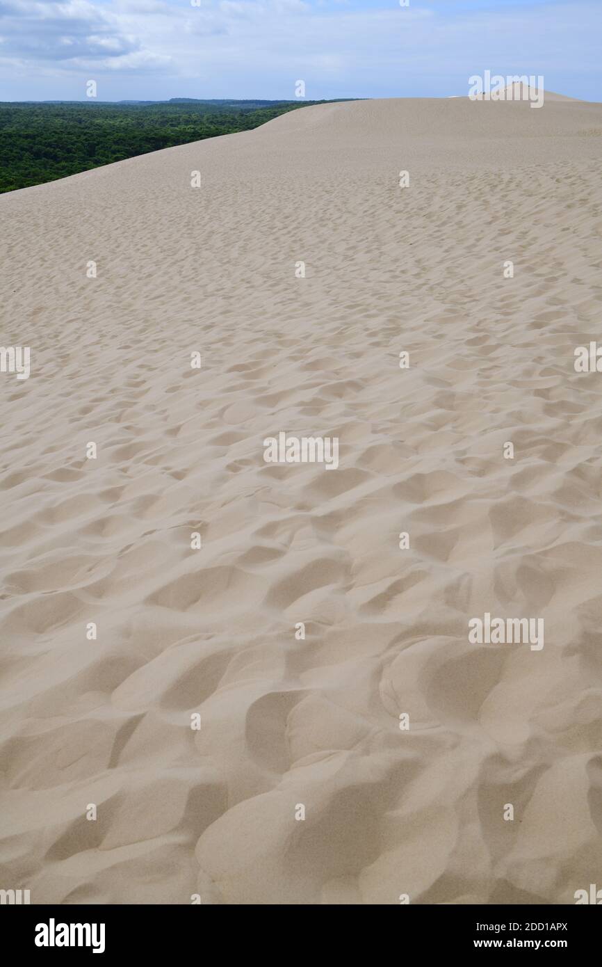 Europe's largest sand dunes, Dune du Pilat stand in front of Landes de