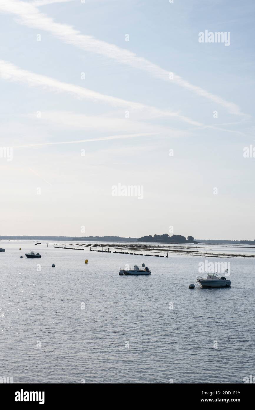Early morning light on boats moored near Oyster beds in The Golfe du Morbihan - Gulf of Morbihan - Brittany, France Stock Photo