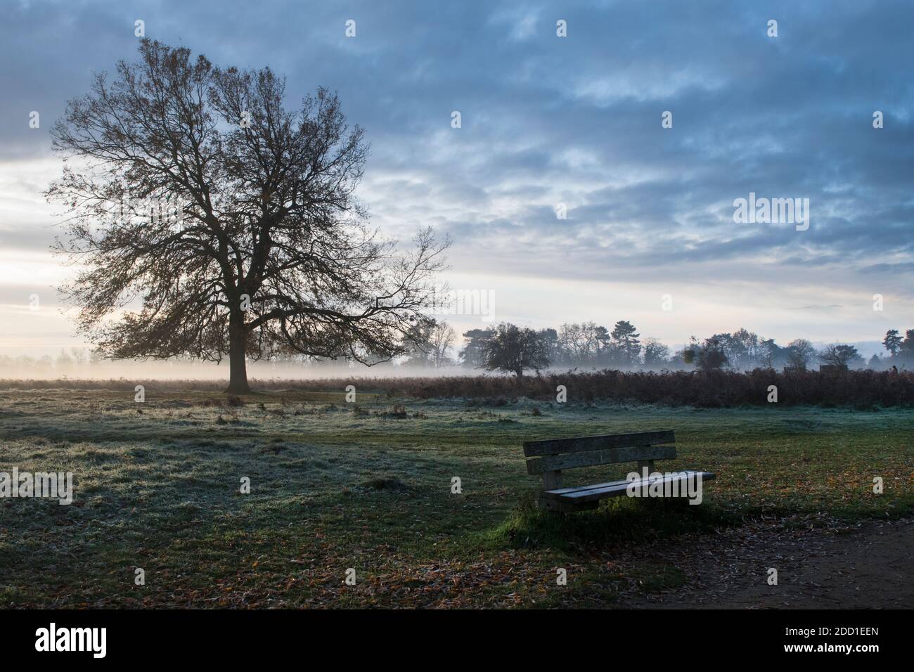 Cold misty  November dawn as the sun starts to rise Stock Photo