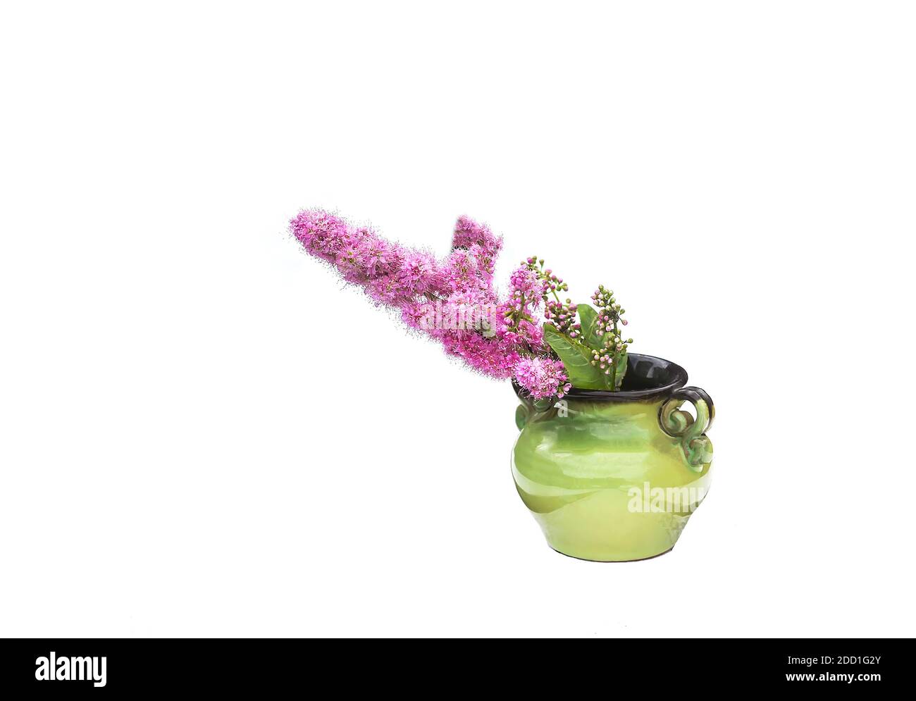 Astilbe plant pink flowers in ceramic vase outdoors. Stock Photo