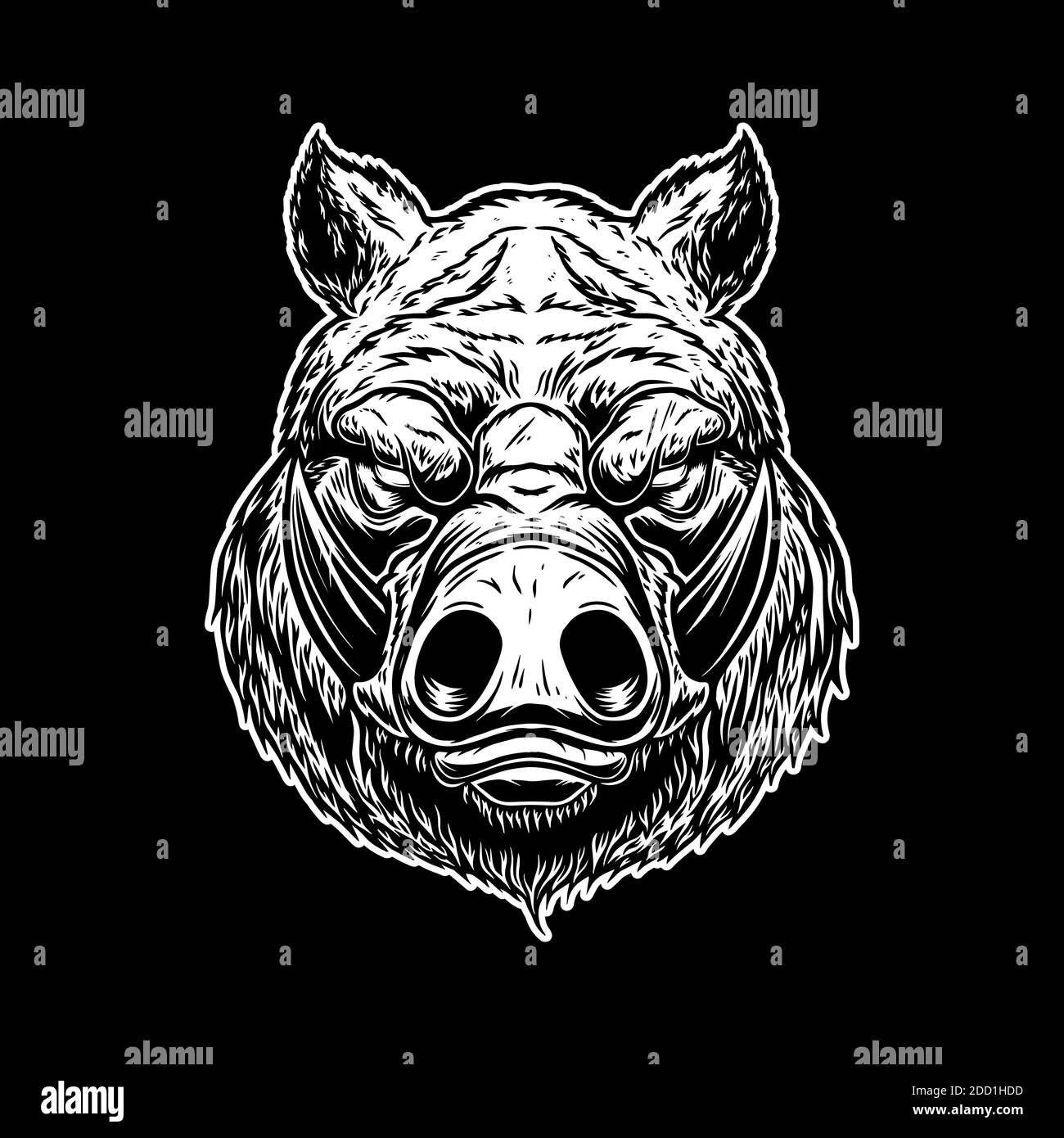 Illustration of head of wild angry boar in vintage monochrome style