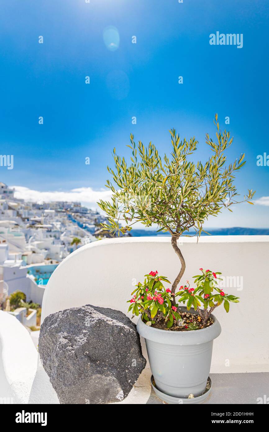 Summer vacation for travel destination flowers background. Wonderful scenery background, perfect holiday. Scenic view of traditional cycladic houses Stock Photo