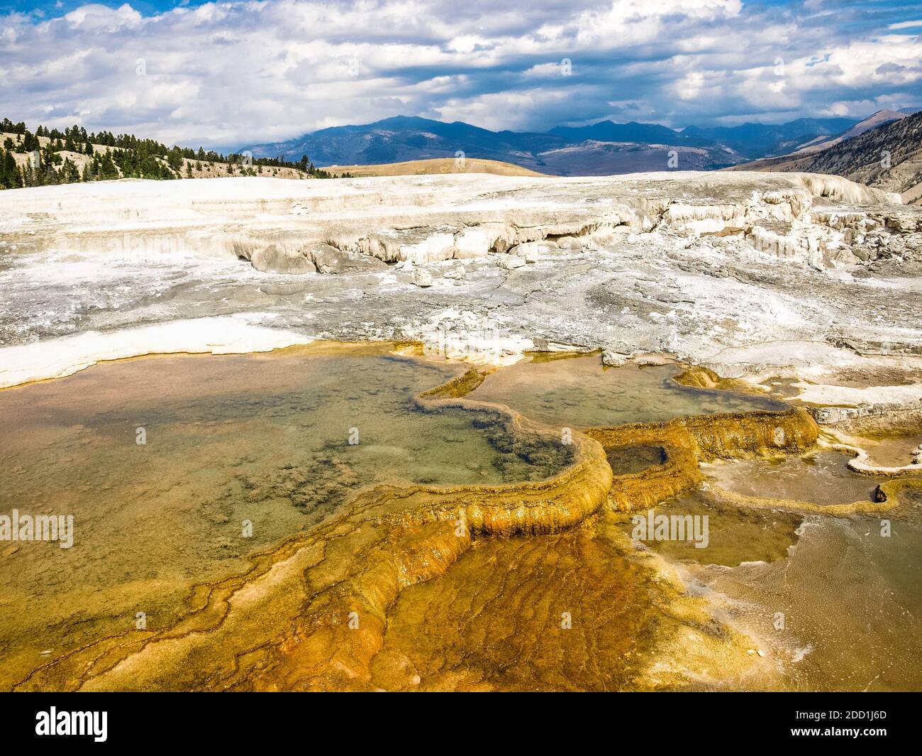 Mamoth Hot springs - sulfur springs - geological wonder, Yellow Stone National Park, MO Stock Photo