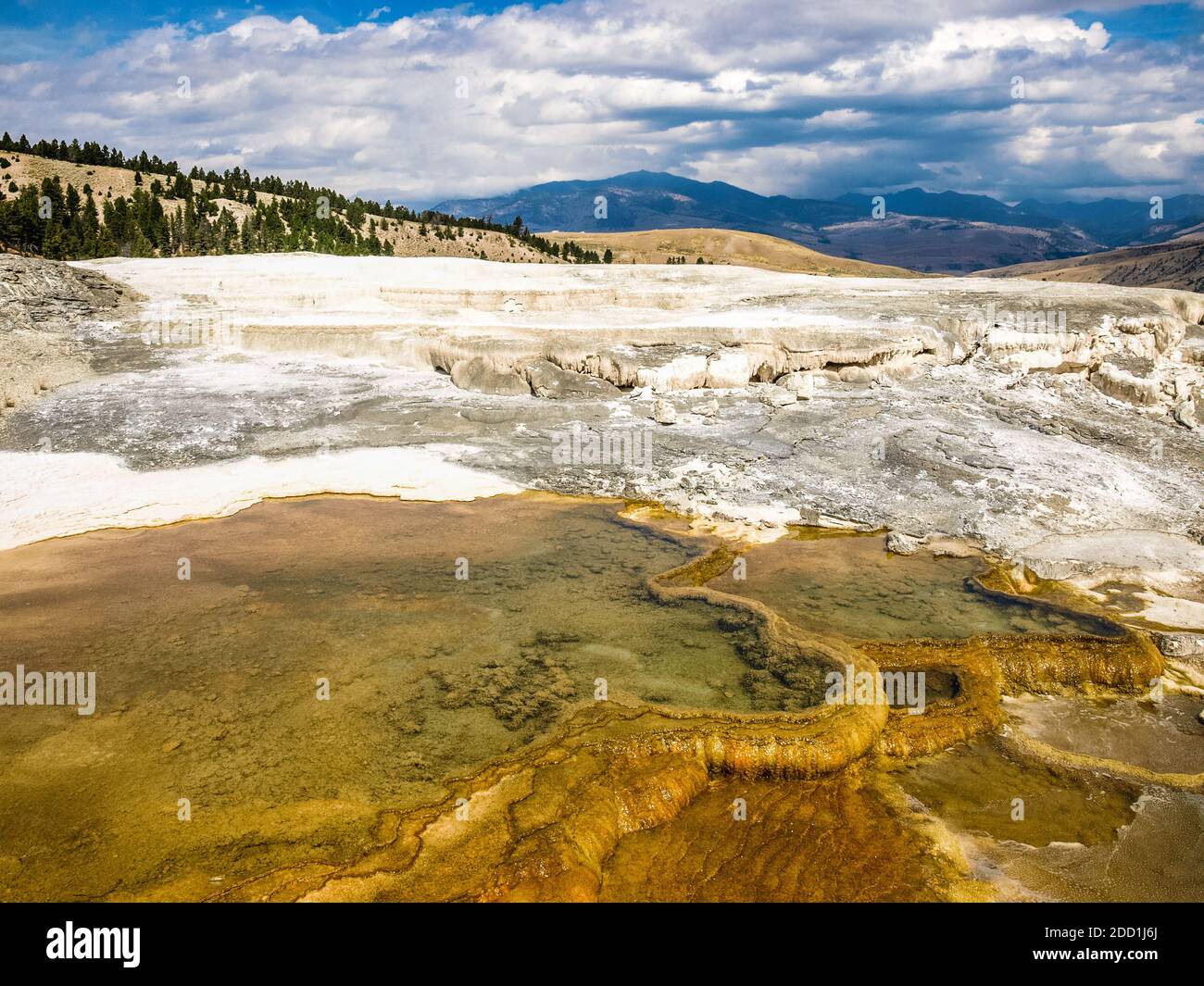 Mamoth Hot springs - sulfur springs - geological wonder, Yellow Stone National Park, MO Stock Photo