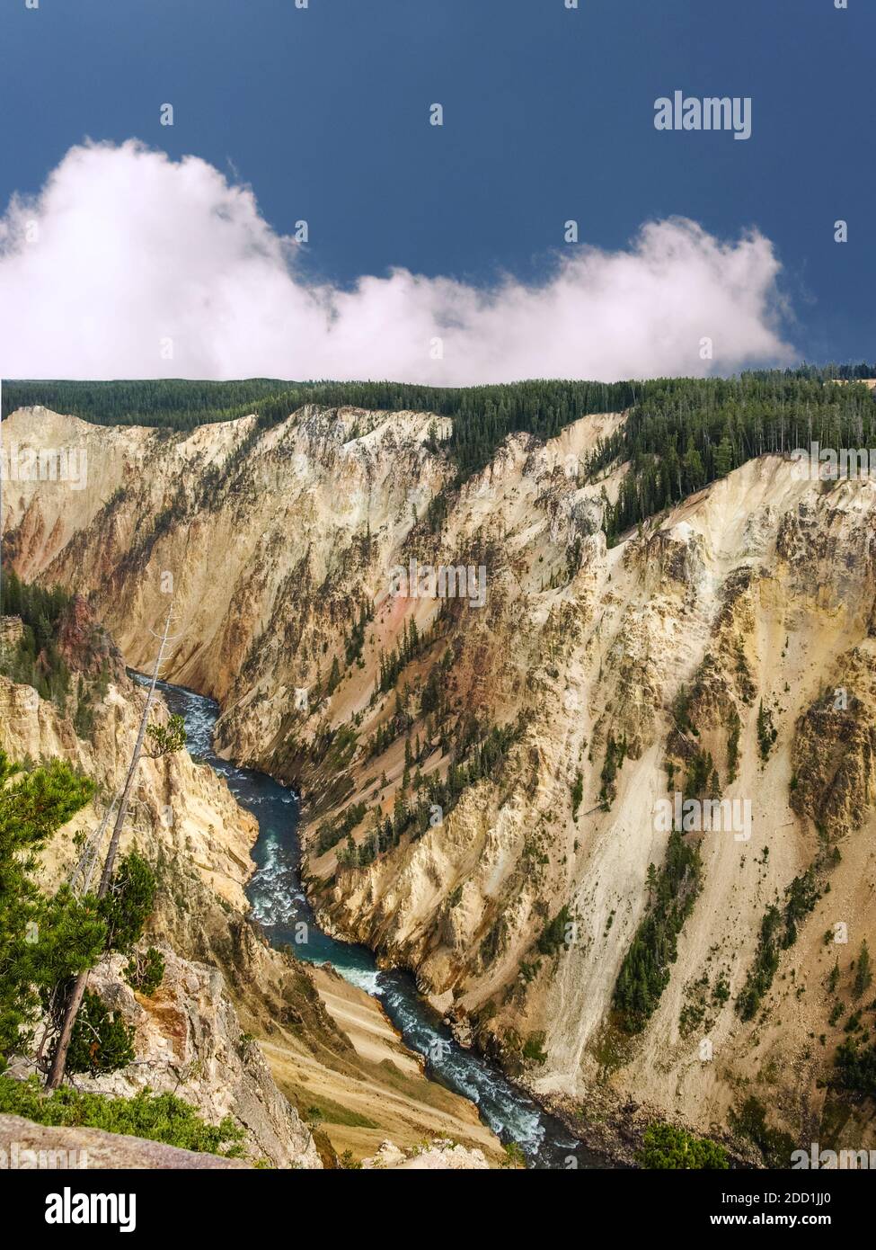 Yellow stone river carving its way between mountains, Yellowstone National Park, MO, USA Stock Photo