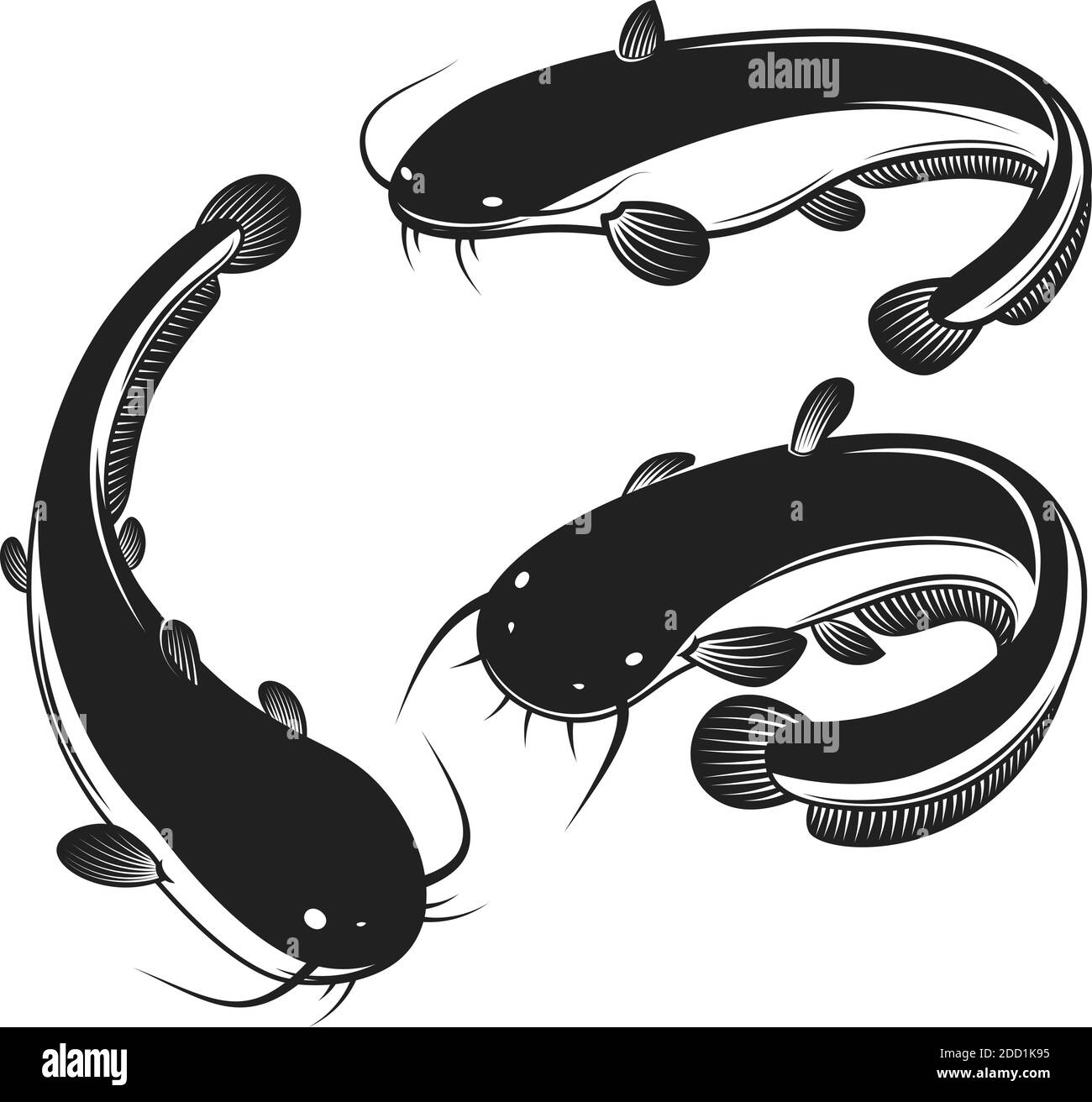 Set of illustration of catfish in engraving style. Design element for