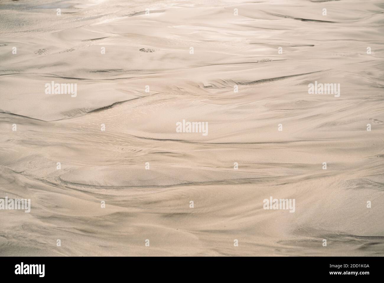 Sand beach nature texture in summer sun as background. Sand pattern of a beach. Stock Photo