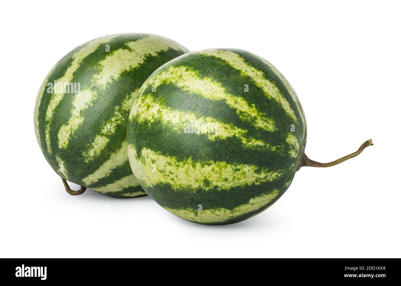 Two ripe watermelons isolated on a white background Stock Photo