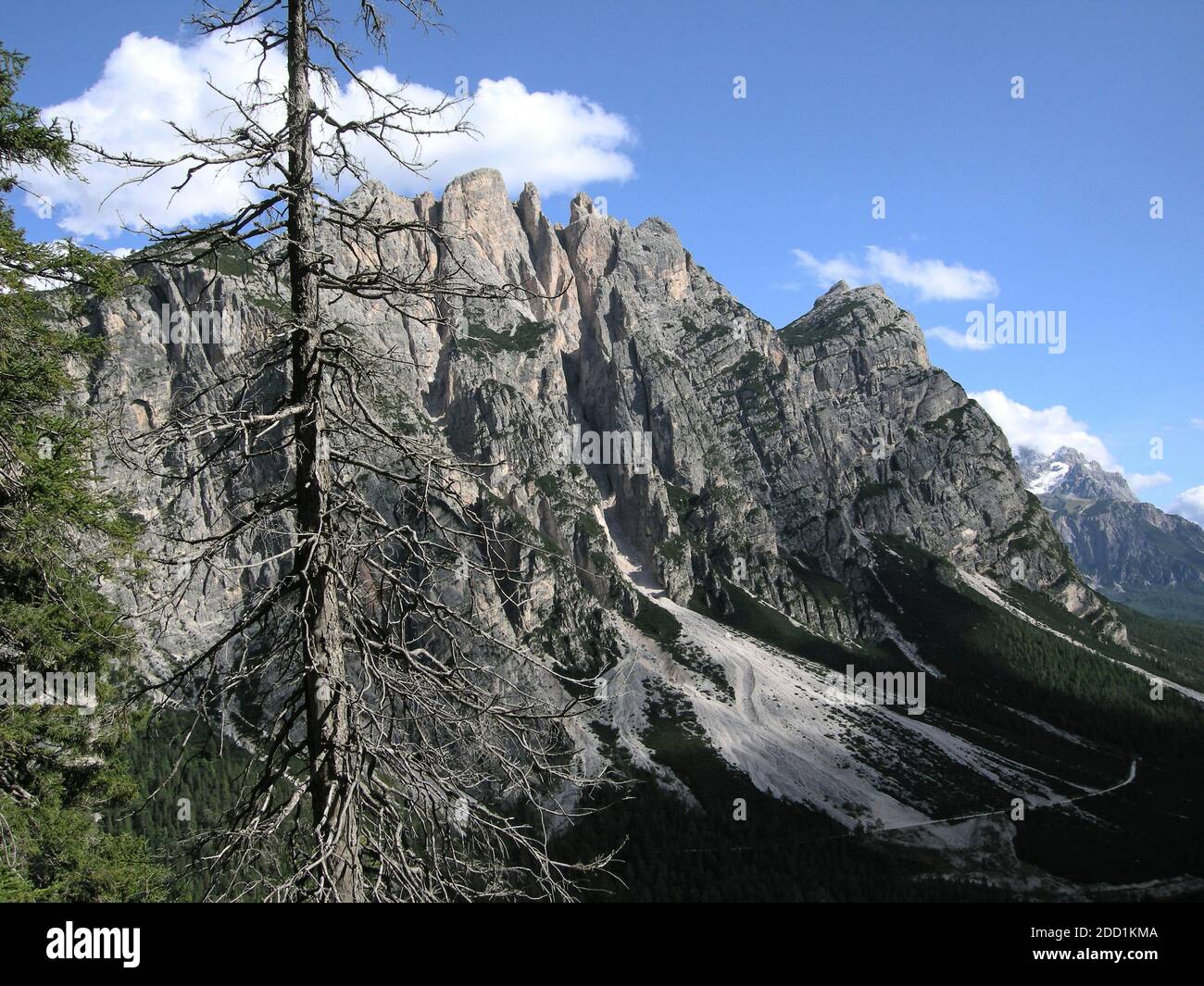 View from the path descending Col Rosa across the valley to Punta Fiames showing the east face, with dead pine in foreground. Stock Photo