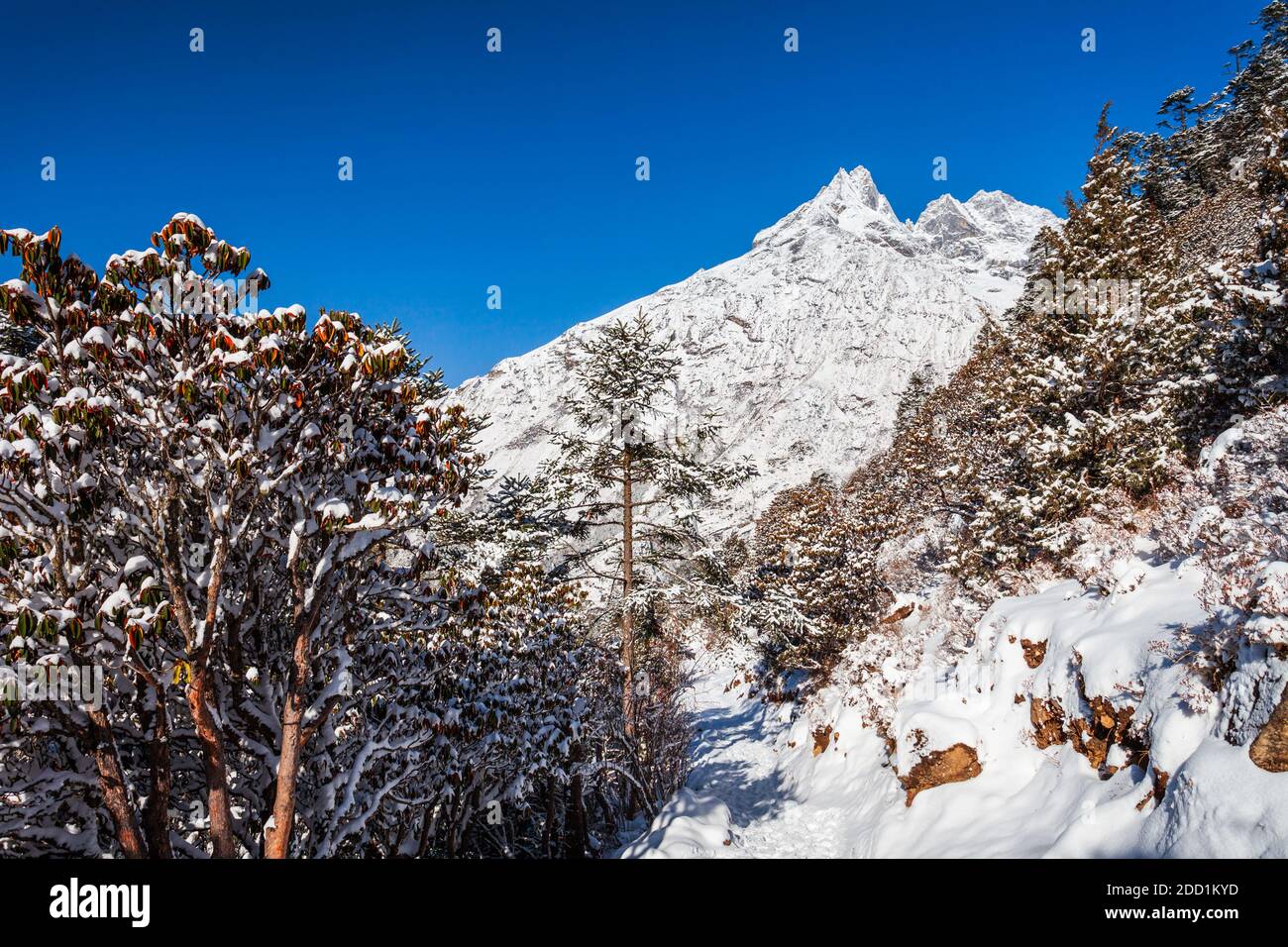 Scenic mountain landscape in Everest or Khumbu region in Himalaya in Nepal Stock Photo