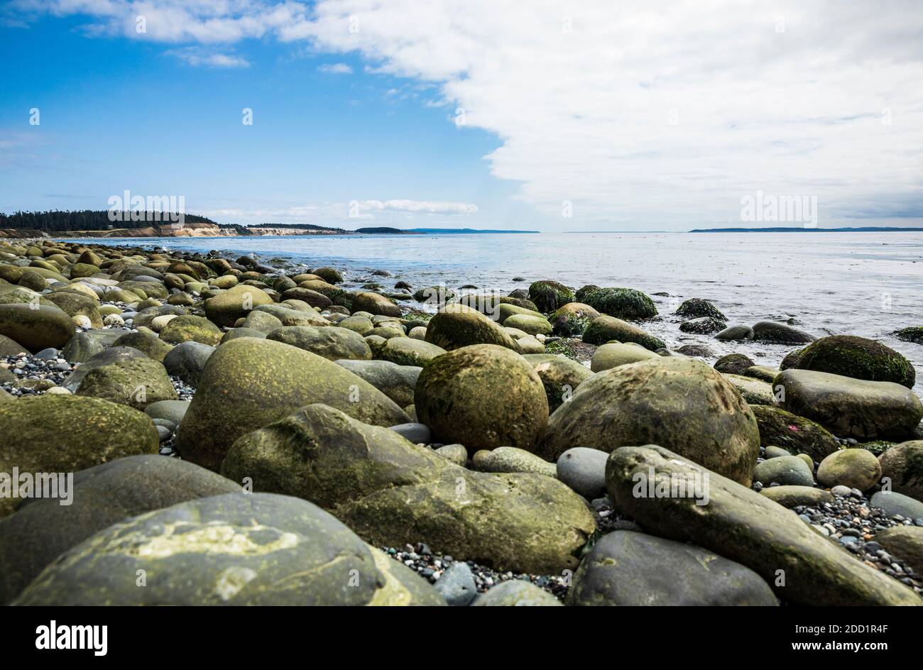 A low angle view from down on the rocks at low tide on Ebeys Landing beach on the shores of the Salish sea, Puget Sound, Washington, USA. Stock Photo