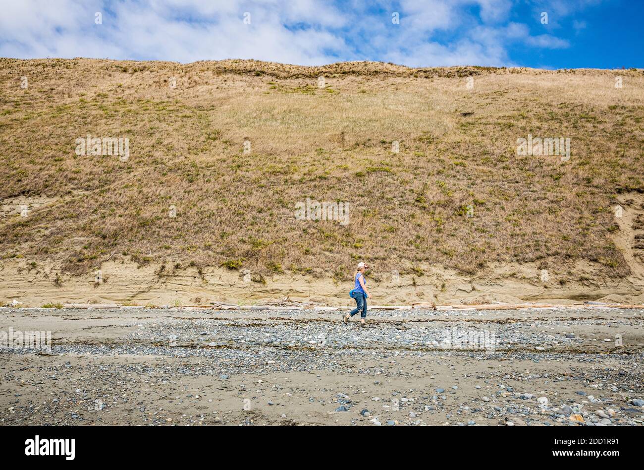 A woman walking on Ebey's Landing BeachTrail below the bluffs, Whidbey Island, Washington, USA. Stock Photo