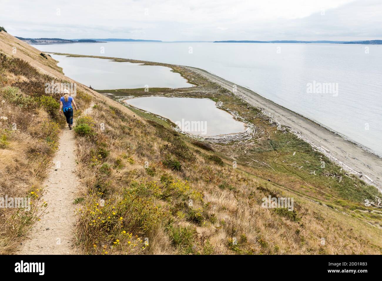 A woman walking on Ebey's Landing Bluff Trail, Whidbey Island, Washington, USA. Stock Photo