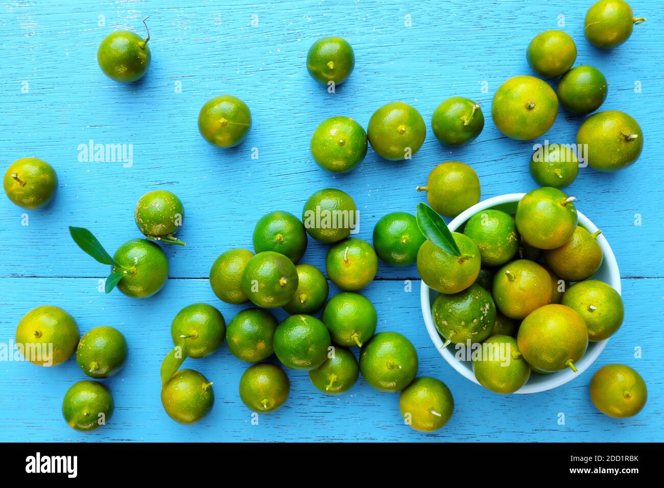 Yellow green calamansi, calamondin or philippine lime tropical fruit