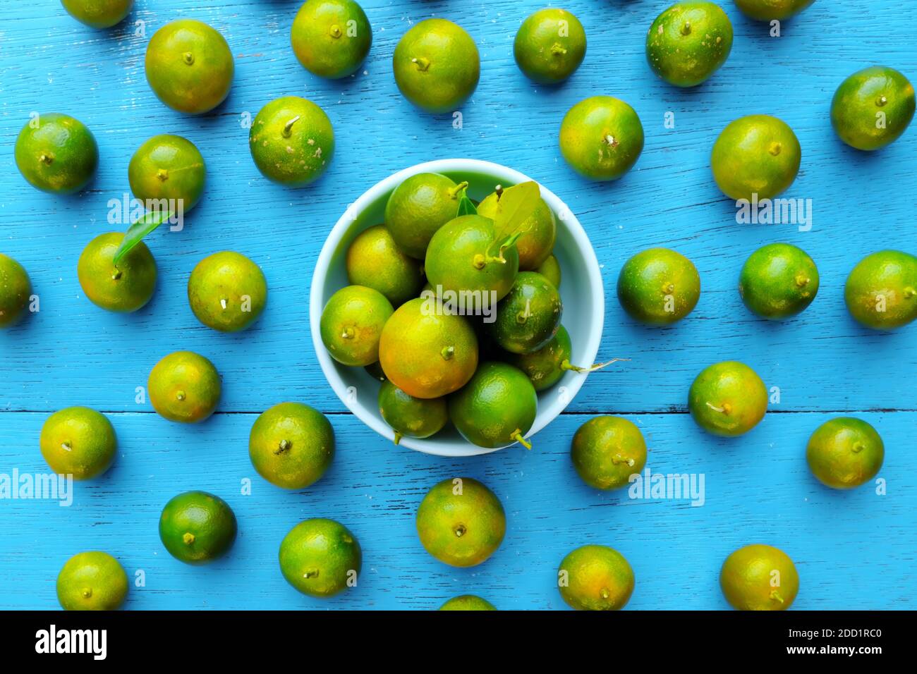 Yellow green calamansi, calamondin or philippine lime tropical fruit pattern in bright blue wood background. Asian summer citrus fruits flat lay. Stock Photo