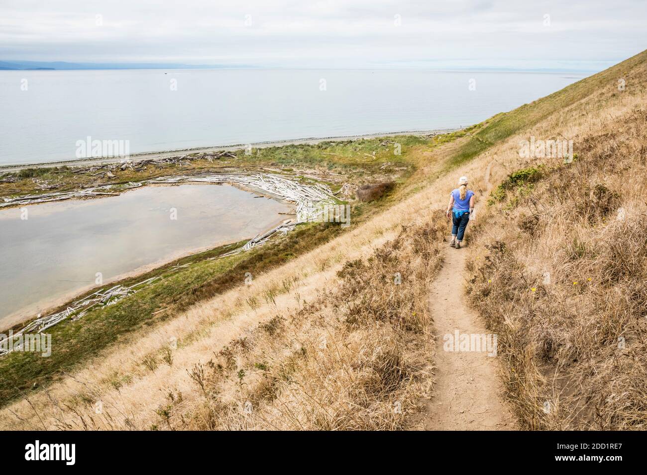 A woman walking on Ebey's Landing Bluff Trail, Whidbey Island, Washington, USA. Stock Photo