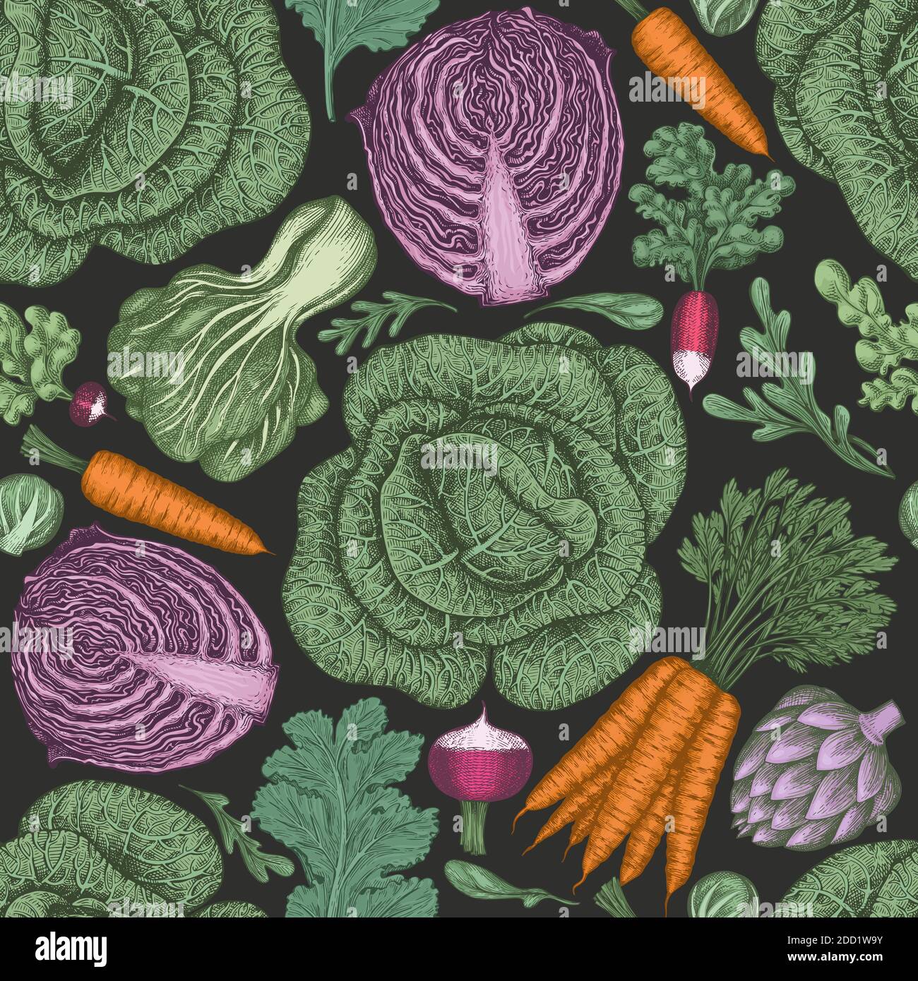 Dark leaf lettuce Stock Vector Images Alamy