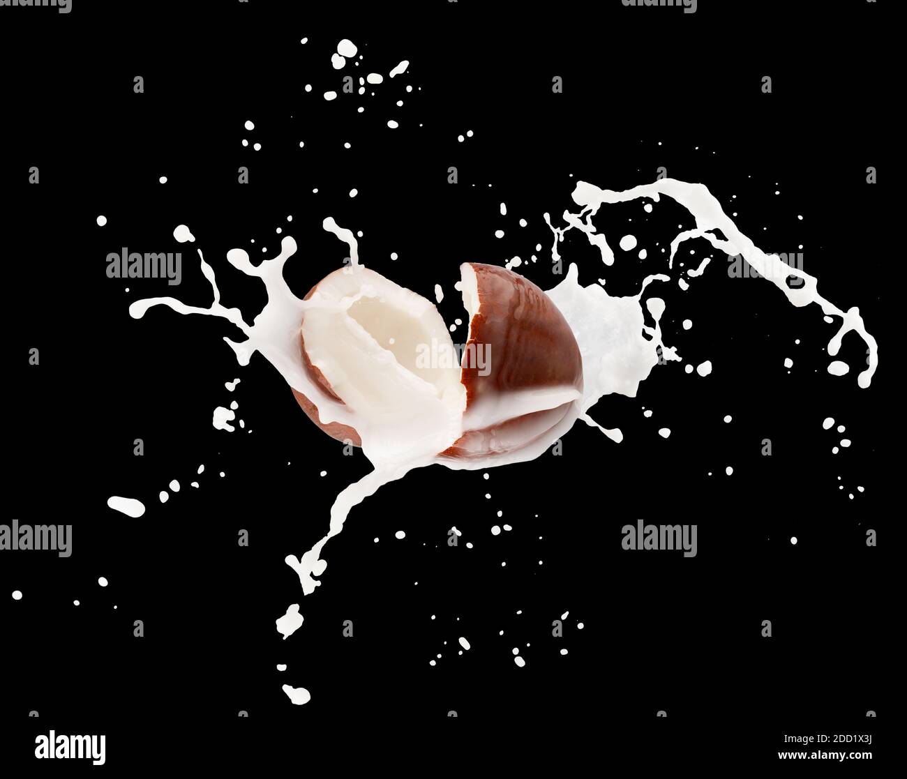 coconuts with milk splash on a black background. Stock Photo