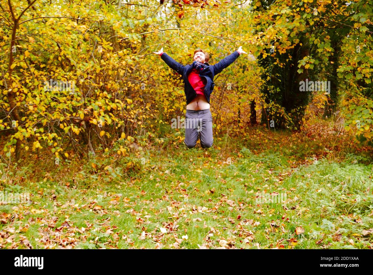 Ginger bearded man jumping in the air with joy throwing autumn leaves in the countryside wearing a Barbour coat and scarf. Stock Photo