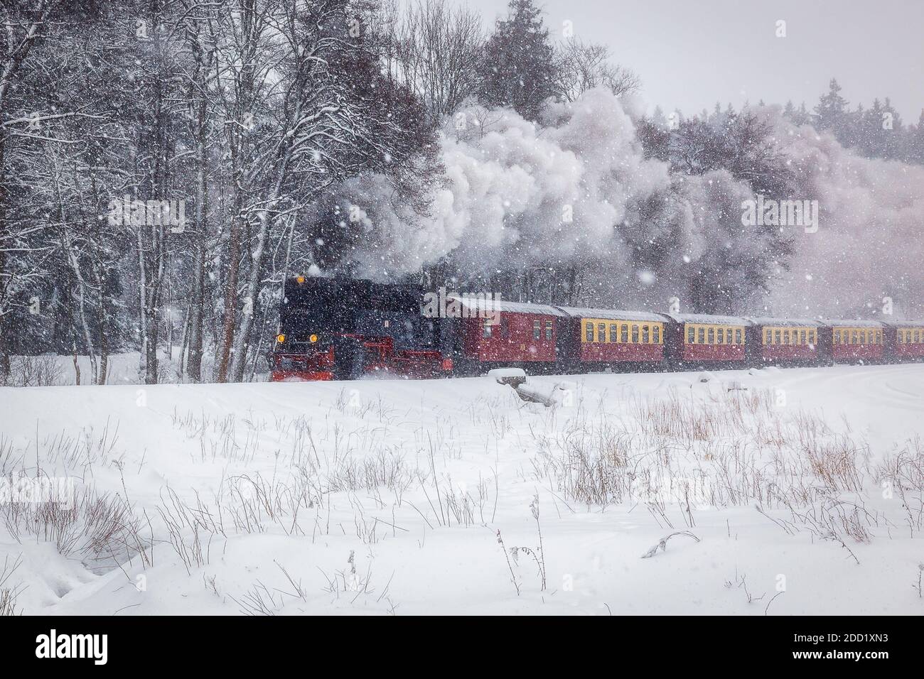 Steam train on the way to Brocken through winter landscape Stock Photo