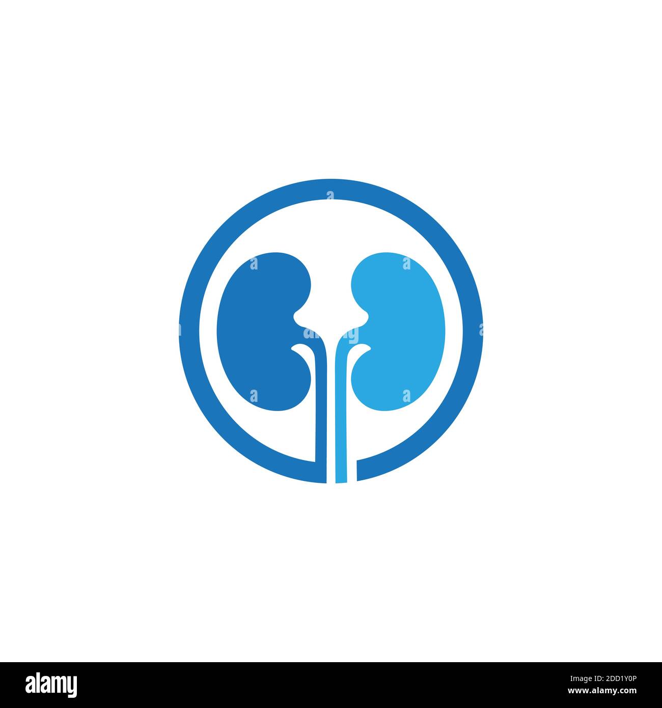 kidney vector illusrtation design logo template Stock Vector Image ...