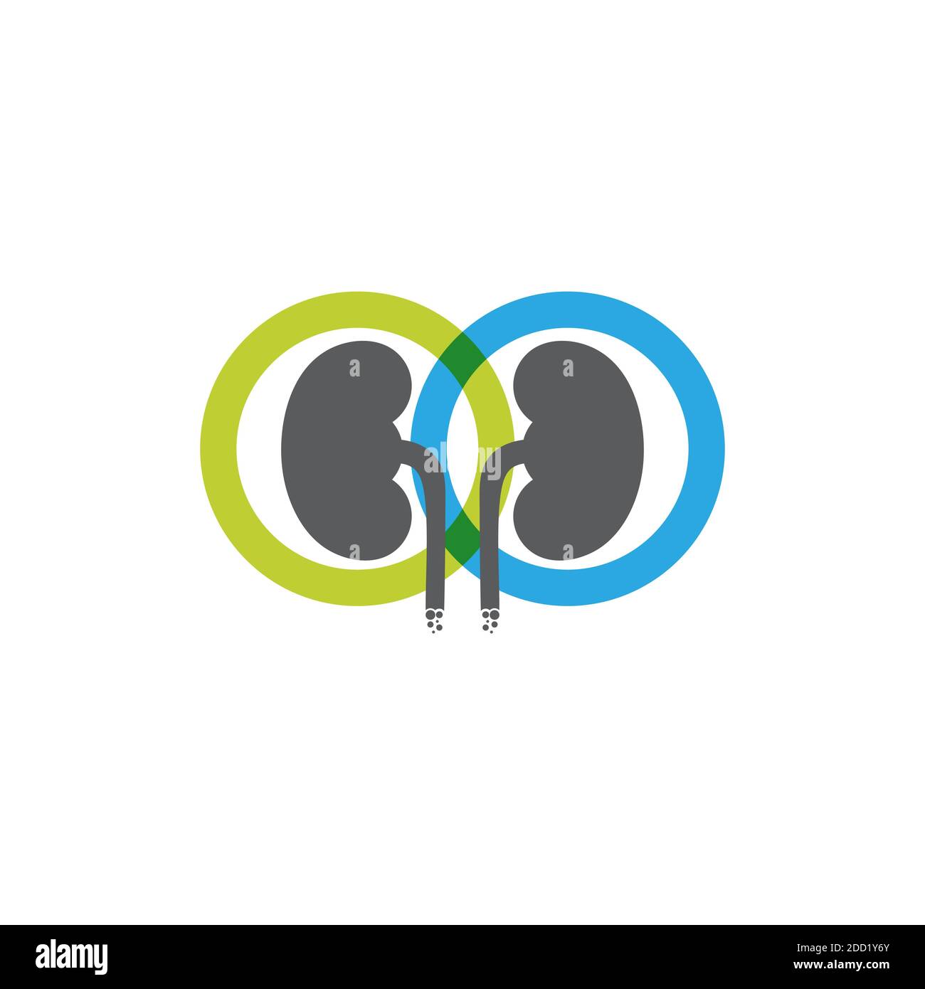 kidney vector illusrtation design logo template Stock Vector Image ...