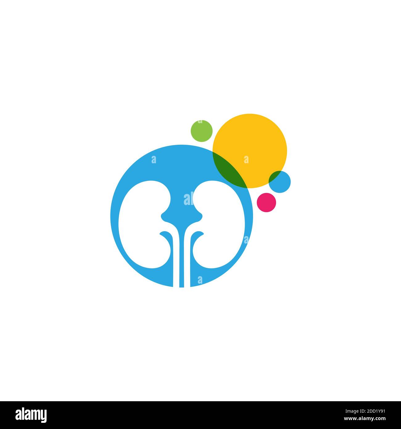 kidney vector illustratation design logo template Stock Vector Image ...