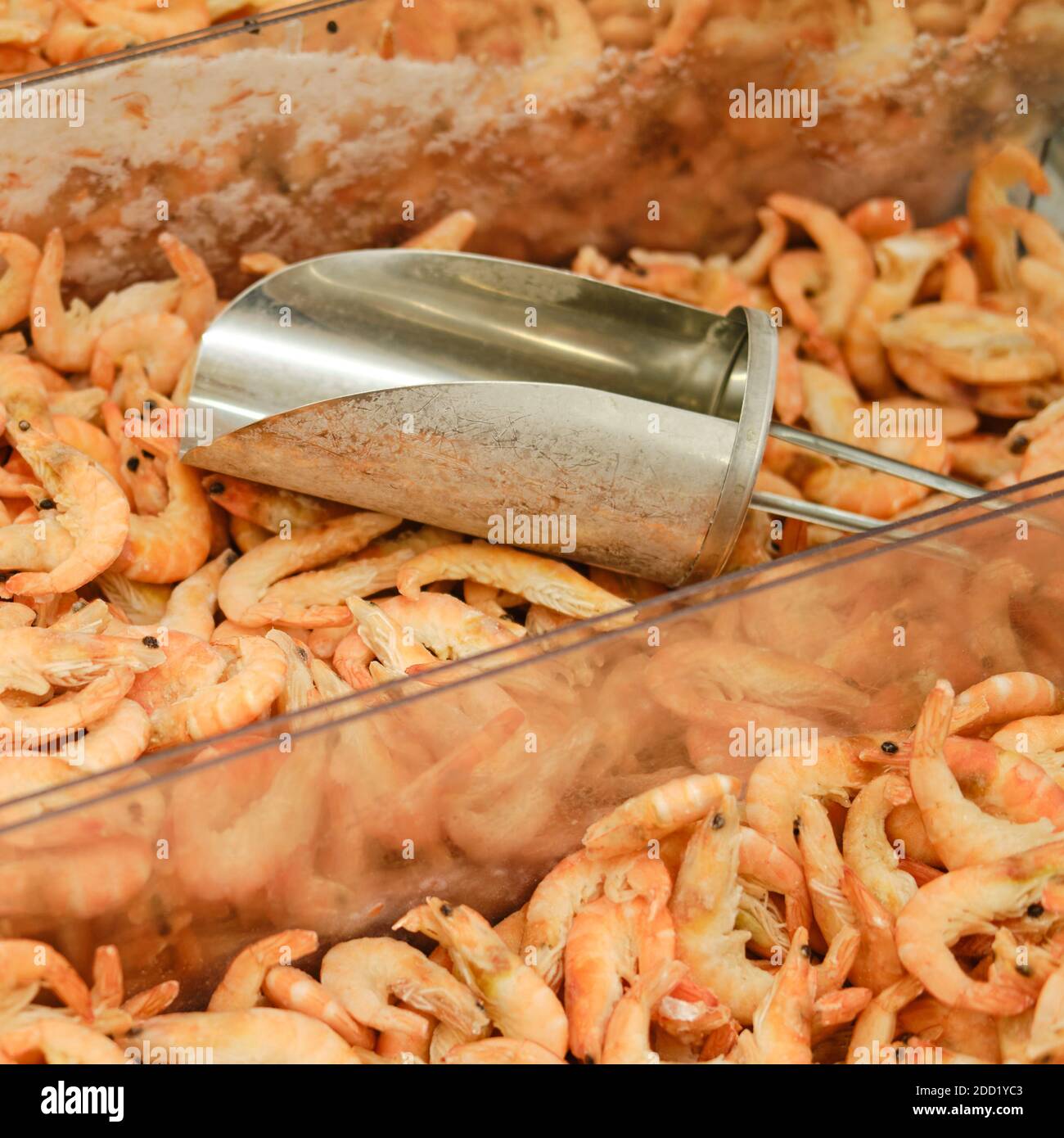 Shrimp counter in a grocery store, close-up Stock Photo - Alamy